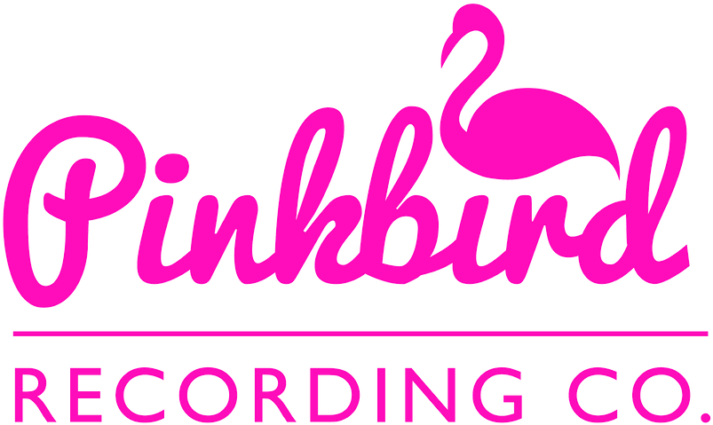 Pinkbird Recording Co - Calligraphy Clipart (900x561), Png Download
