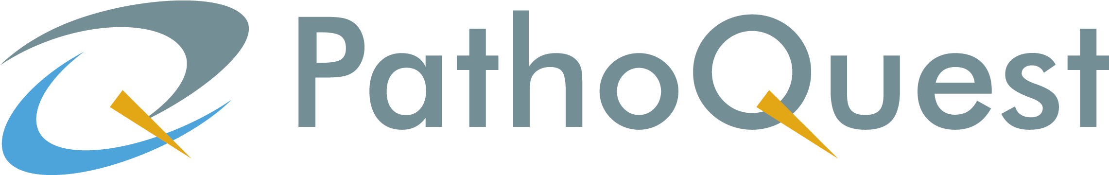 Pathoquest - Circle Clipart (2953x591), Png Download