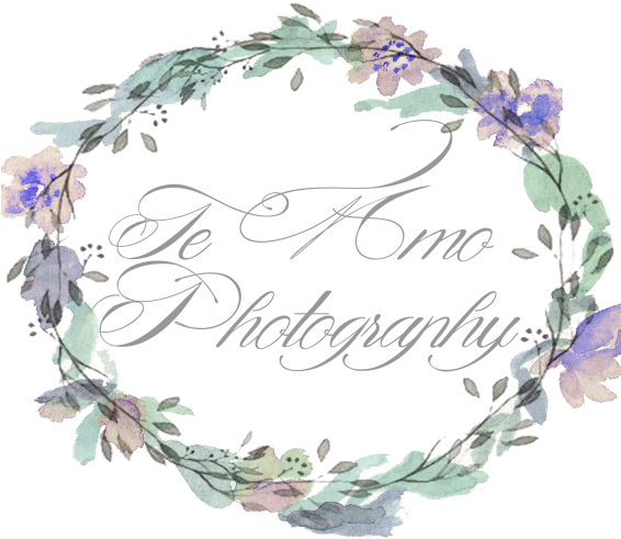 Te Amo Photography - Bellflower Clipart (565x800), Png Download