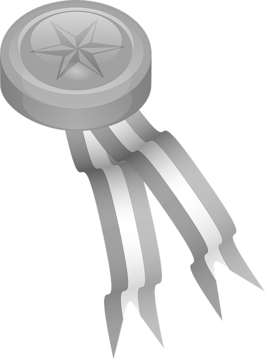 Silver Medal Clip Art - Png Download (532x720), Png Download