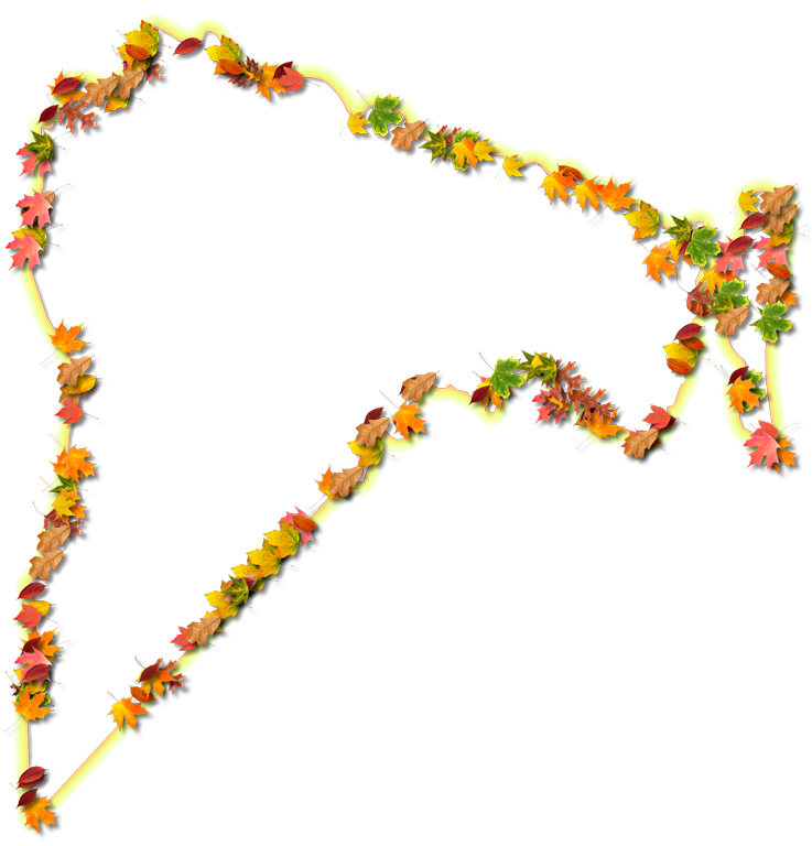 A Yellow And Orange Outline Map Of Nassau With Fall - Illustration Clipart (737x768), Png Download