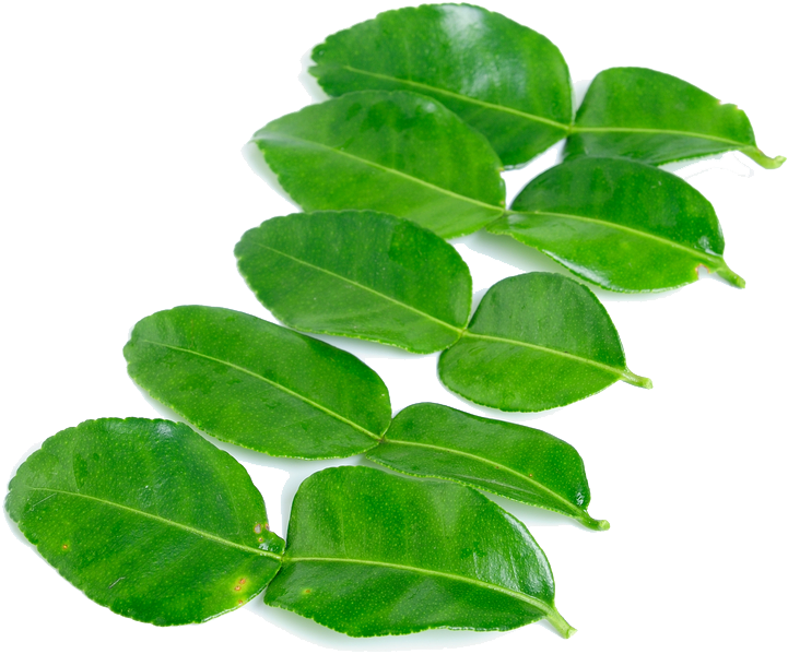 Kaffir Lime Leaves Png High-quality Image - Kaffir Lime Leaves Png Clipart (774x646), Png Download