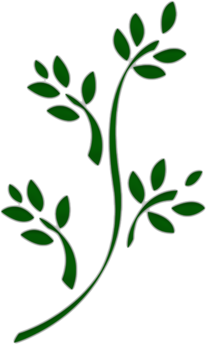 Floral Leaves Clipart (1024x768), Png Download