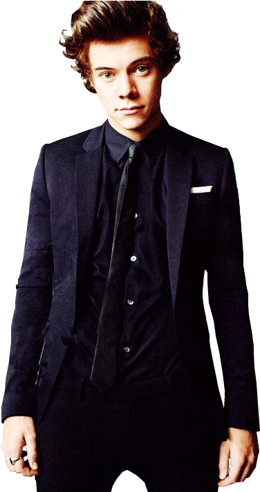 Png Harry Styles 2015 - Harry Styles Ensaio Fotografico Clipart (500x711), Png Download