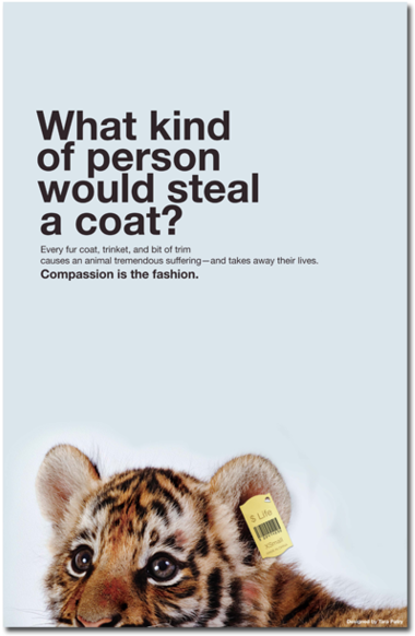 Animal Rights Posters - Animal Rights Poster Ideas Clipart (500x621), Png Download