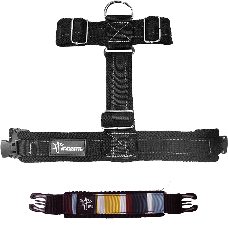 Wd Walking Dog - Strap Clipart (921x936), Png Download