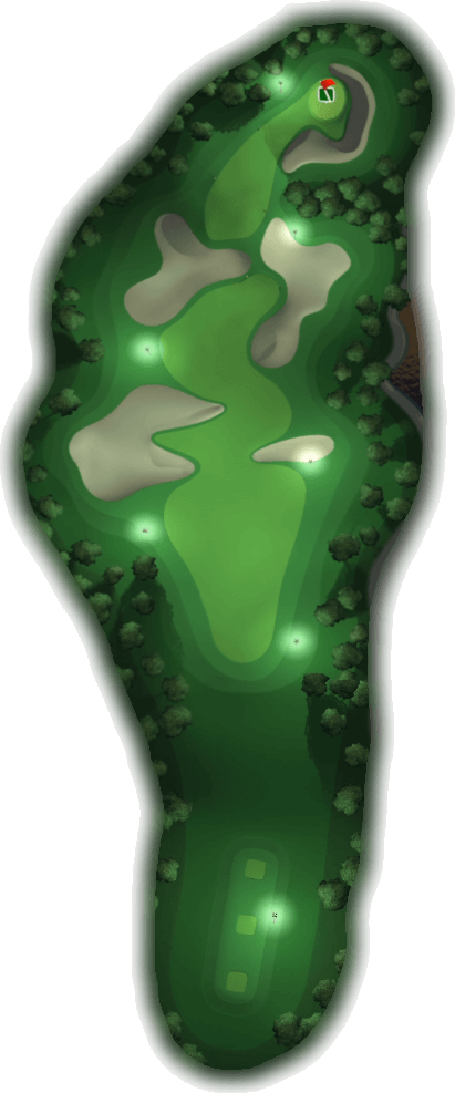 Touchdown - Tree Clipart (411x987), Png Download