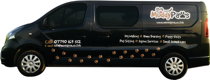 Img - Nissan Primastar Clipart (800x400), Png Download