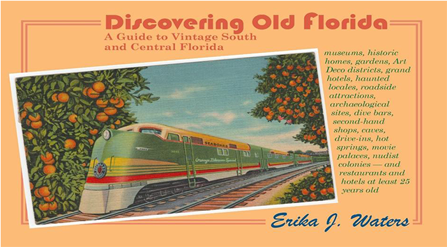 Discovering Old Florida - Tree Clipart (640x640), Png Download