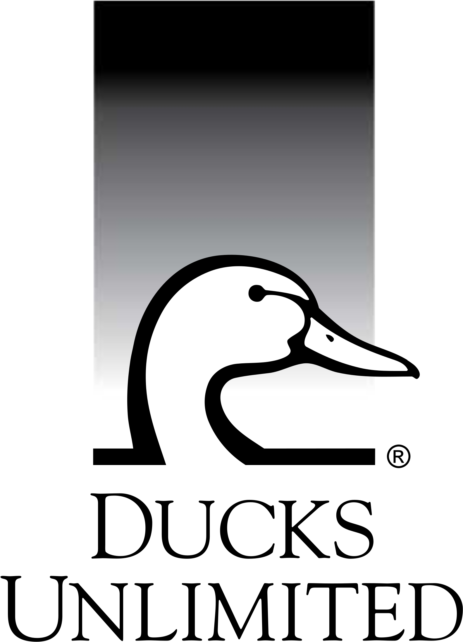 Слово duck. Утка логотип. Гусь логотип. Логотип с гусем. Логотип Гусь утка.