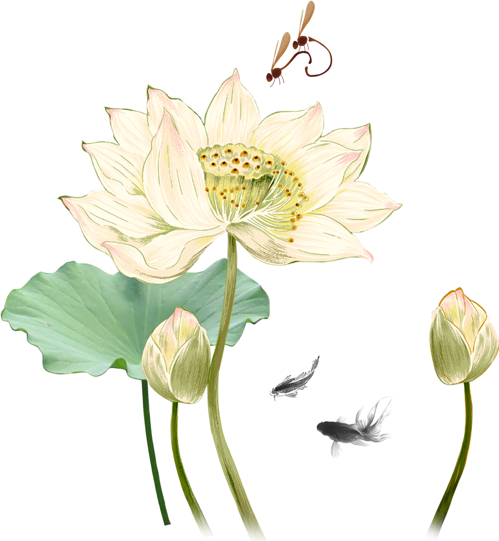 Sacred Lotus, Lotus Heals Acupuncture, Ink Wash Painting, - Hoa Sen Trung Quoc Clipart (2000x2000), Png Download