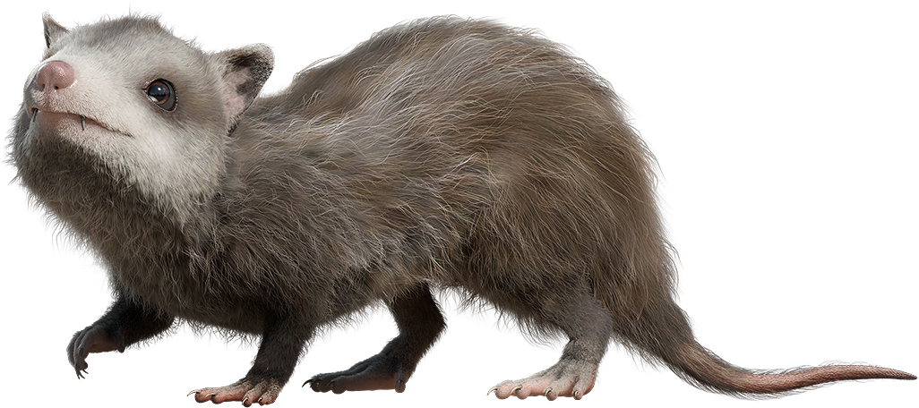 Mammal Png Clipart - Walking With Dinosaurs Mammals Transparent Png (1026x456), Png Download