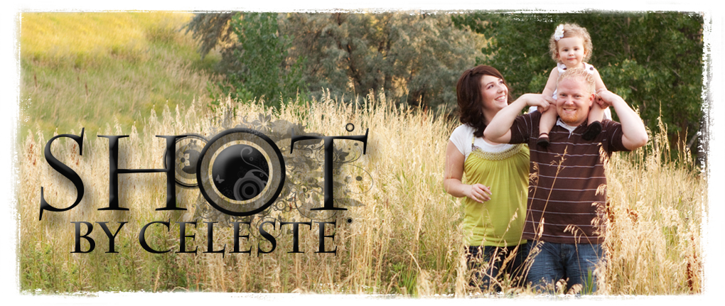 Celeste's Photography Clipart (1020x431), Png Download