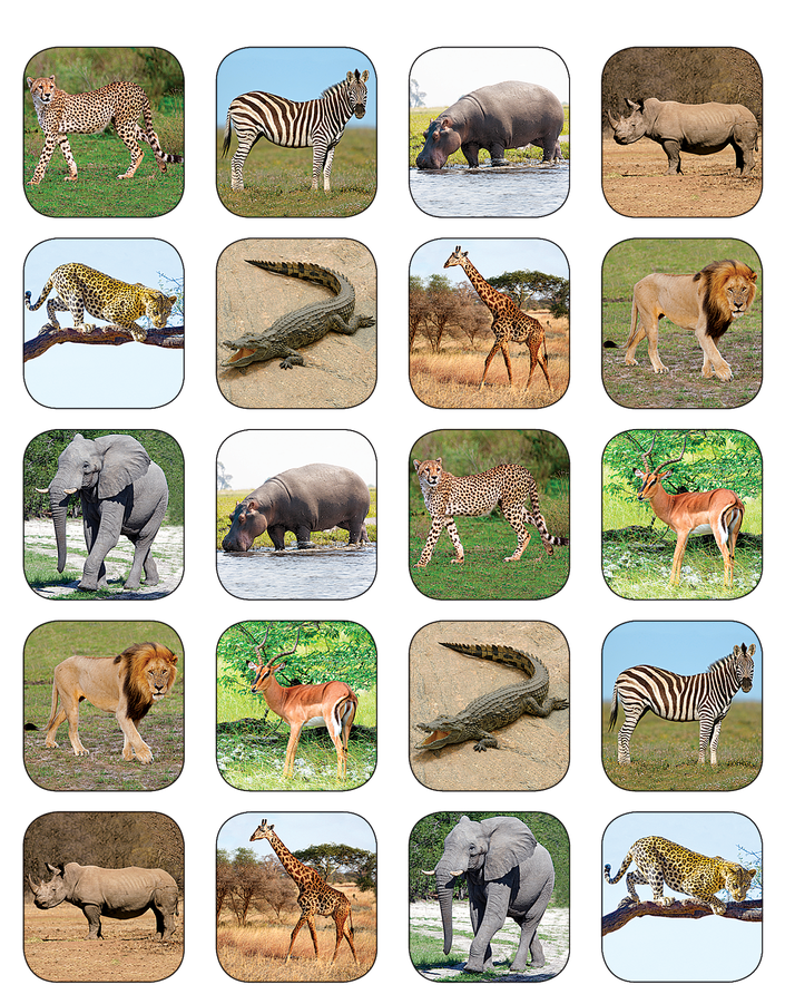 Tcr5468 Safari Animals Stickers Image - Sticker Clipart (900x900), Png Download