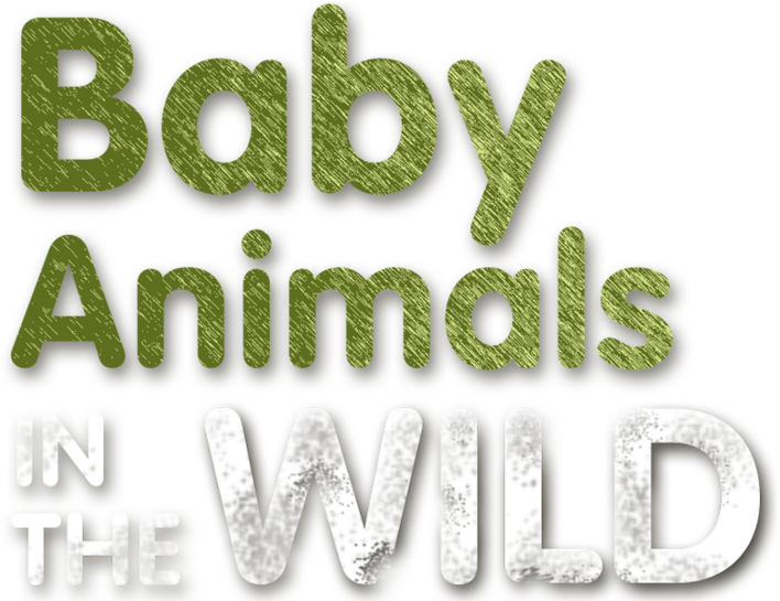 Baby Animals In The Wild - Graphic Design Clipart (1280x544), Png Download