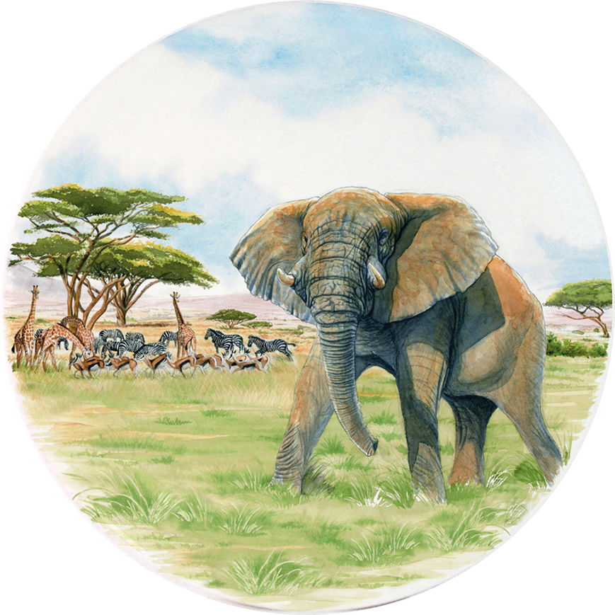 Torte Clipart (869x869), Png Download