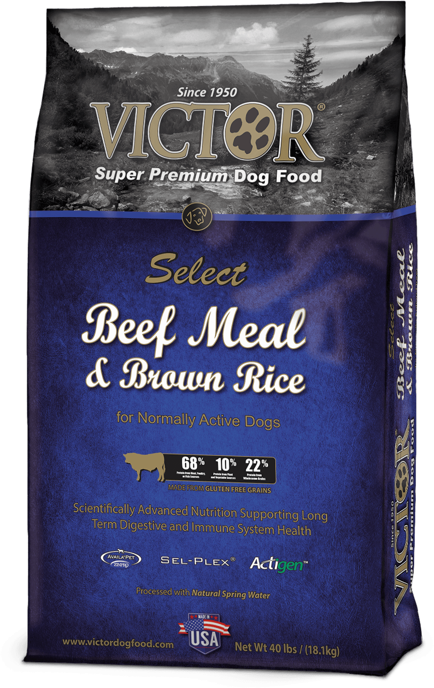 Victor Beef Meal Brown Rice Victor Dog Food Chicken And Rice victor-beef-meal-brown-rice-victor-dog-food-chicken-and-rice
