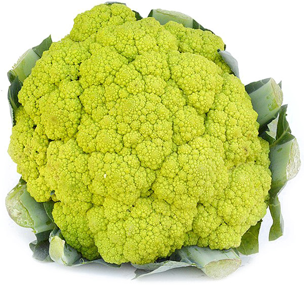Cauliflower Png Image Transparent - Green Cauliflower Clipart (600x600), Png Download