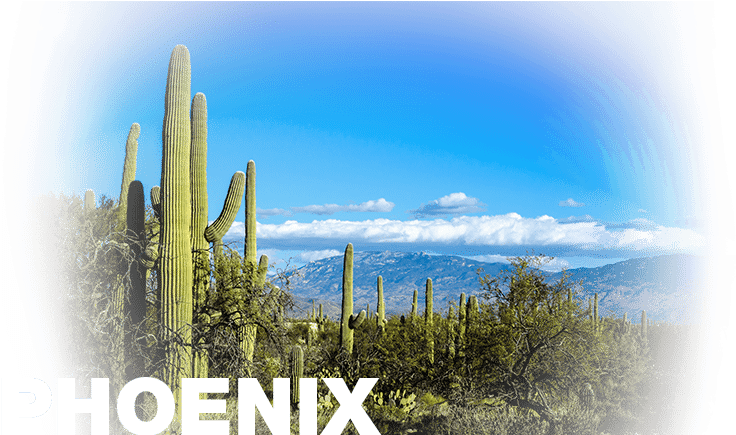 Cameramanhamilton's Desert Scape, 61x41cm - Arizona Clipart (736x435), Png Download