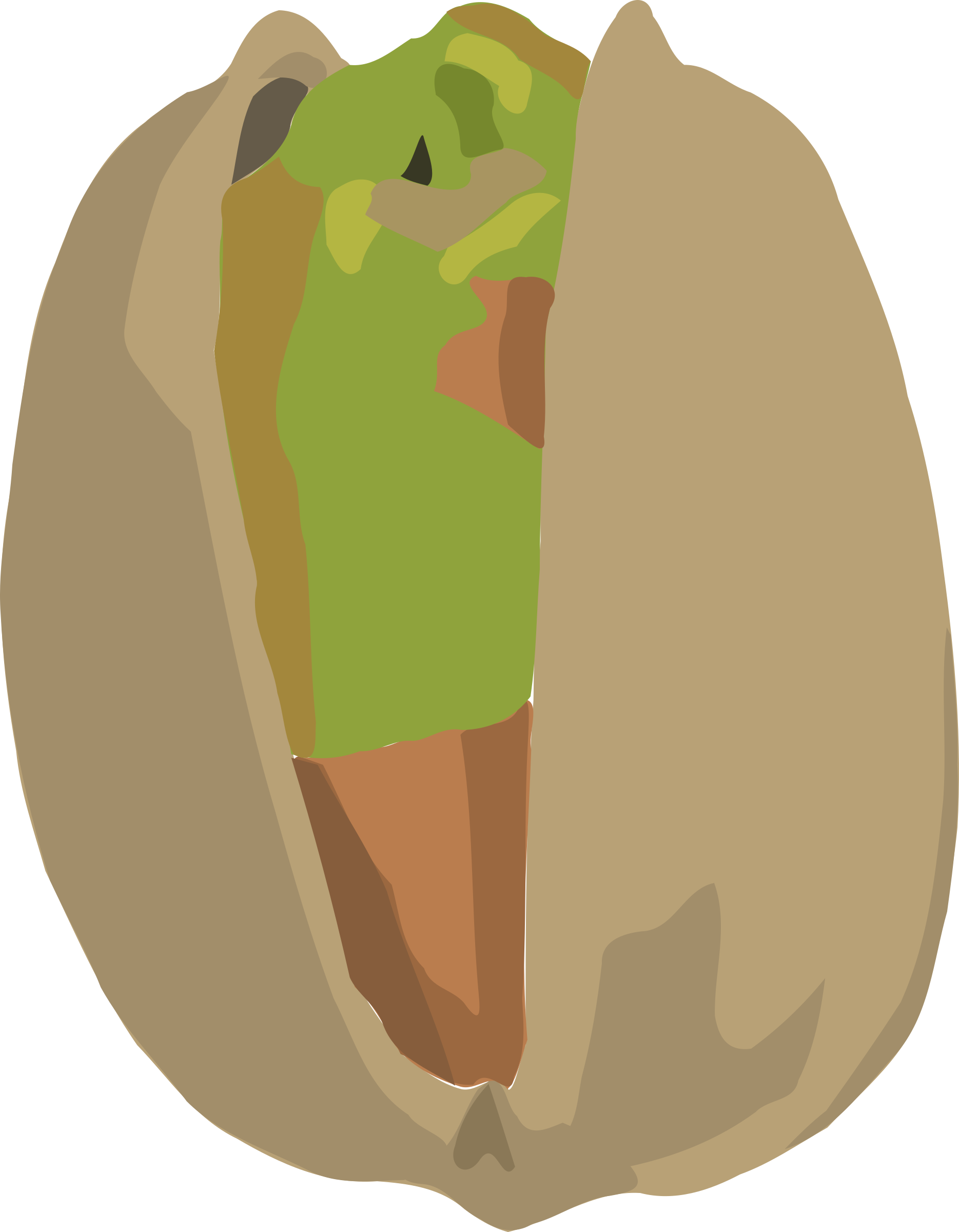 Pistachios Png - Antep Fıstığı Vektörel Png Clipart (1869x2400), Png Download