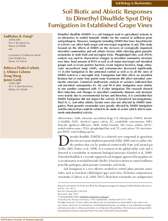 Pdf - Text Page - Holy Land - The Necropolis Clipart (594x792), Png Download