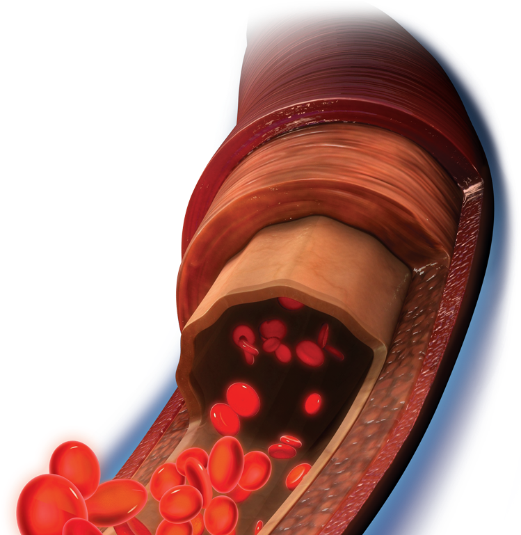 Tissue And Circulation - Medical Equipment Clipart (768x768), Png Download