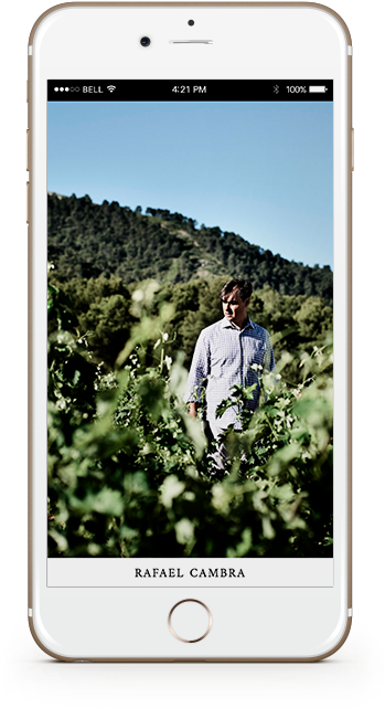 Iphone Clipart (480x960), Png Download