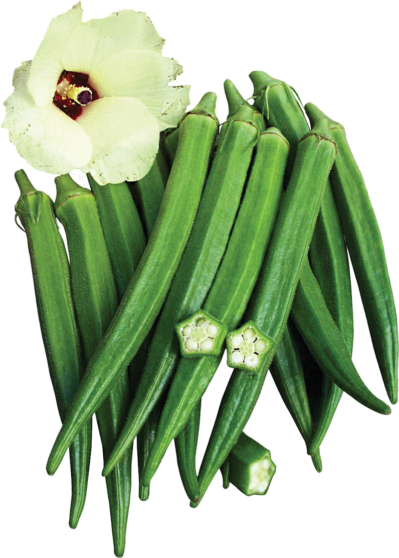 Okra Variety In Many Major Markets - Hybrid Okra Plant Clipart (1200x1200), Png Download