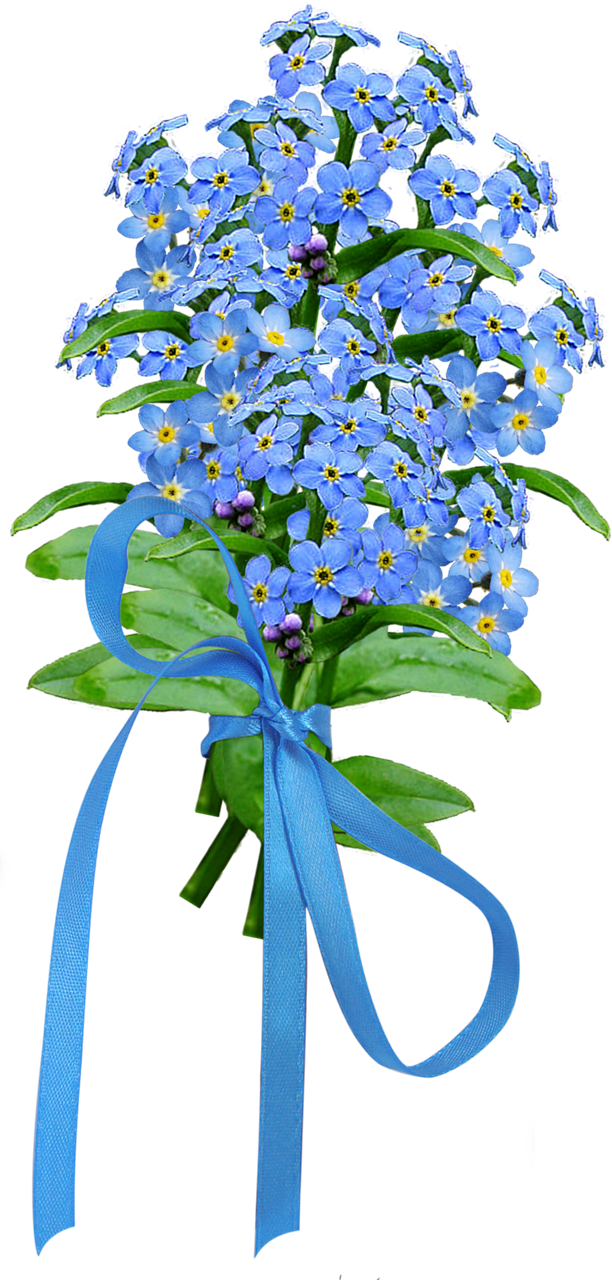 Forget Me Not Png Image - Dayflower Clipart (612x1280), Png Download