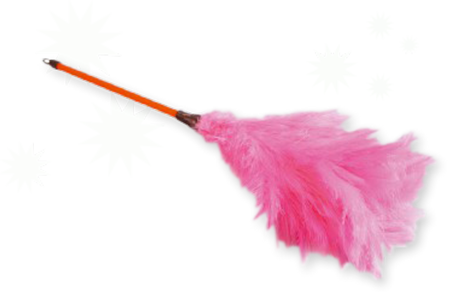 Share This Image - Pink Feather Duster Png Clipart (887x581), Png Download