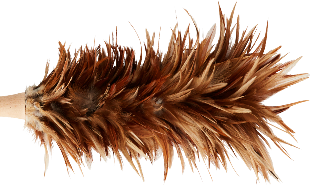 Natural Feather Duster , Png Download Clipart (1013x608), Png Download
