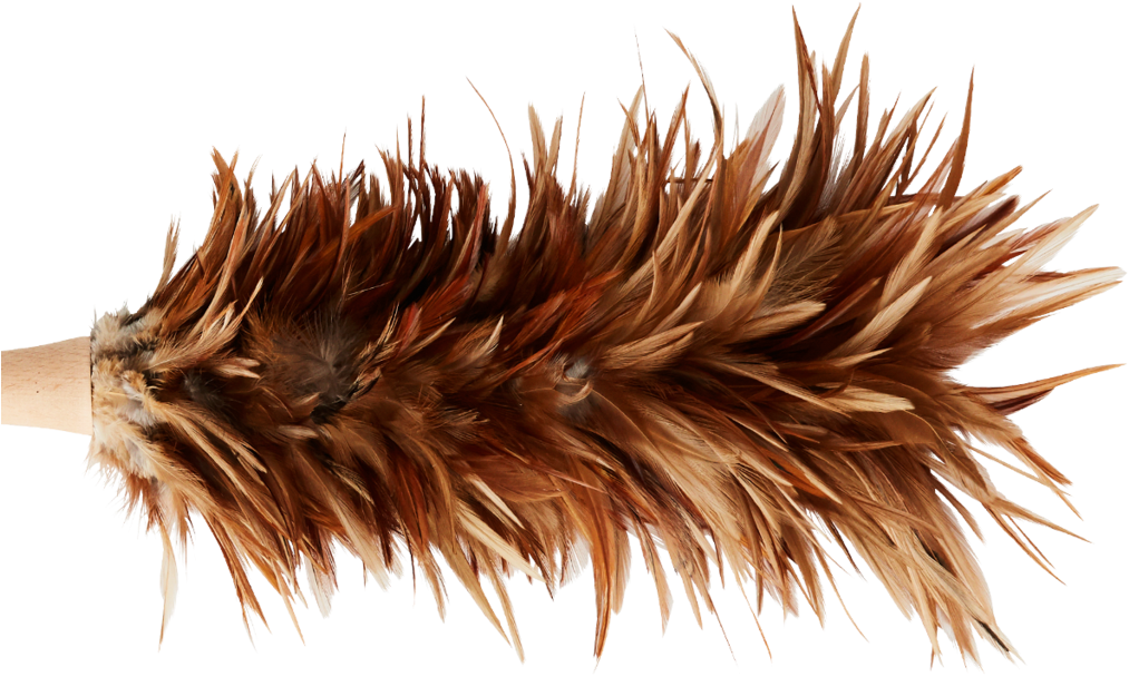 Natural Feather Duster , Png Download Clipart Large Size Png Image