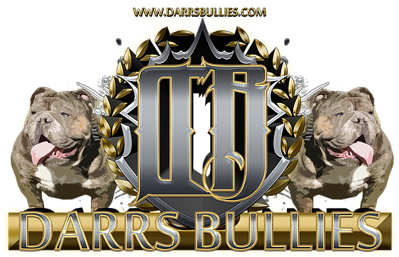 Logo For Darr's Bullies, An Ohio Based Breeder And - Renascence Bulldogge Clipart (589x589), Png Download