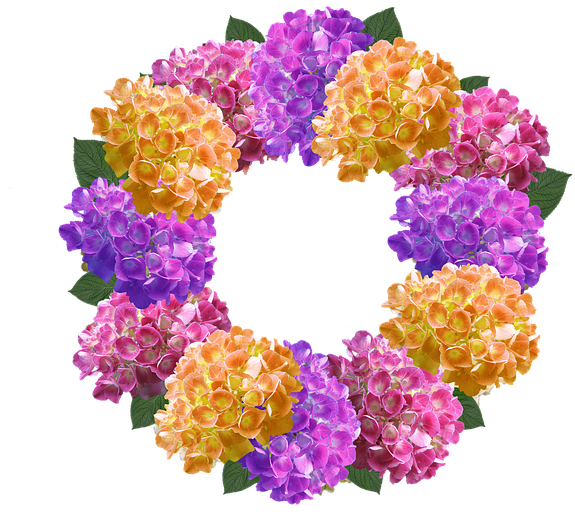 Picture Stock Forgetmenot Frames Png Pinterest Crown - Coroa De Hortencia Clipart (640x640), Png Download