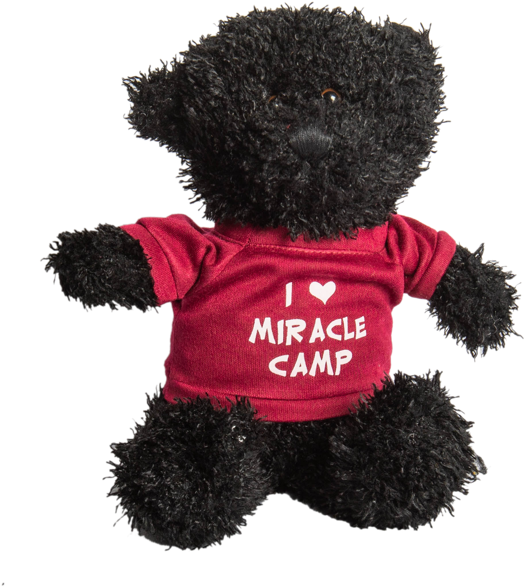 Teddy Bear Clipart (2768x2768), Png Download