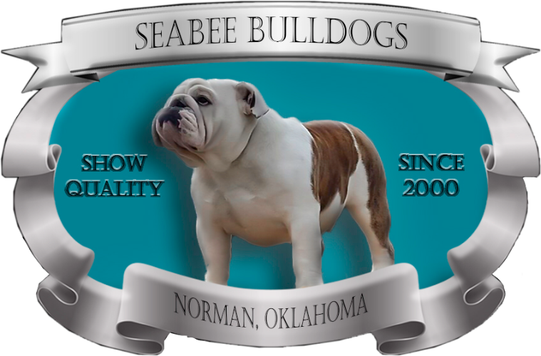 Seabee Bulldogs - Australian Bulldog Clipart (759x500), Png Download