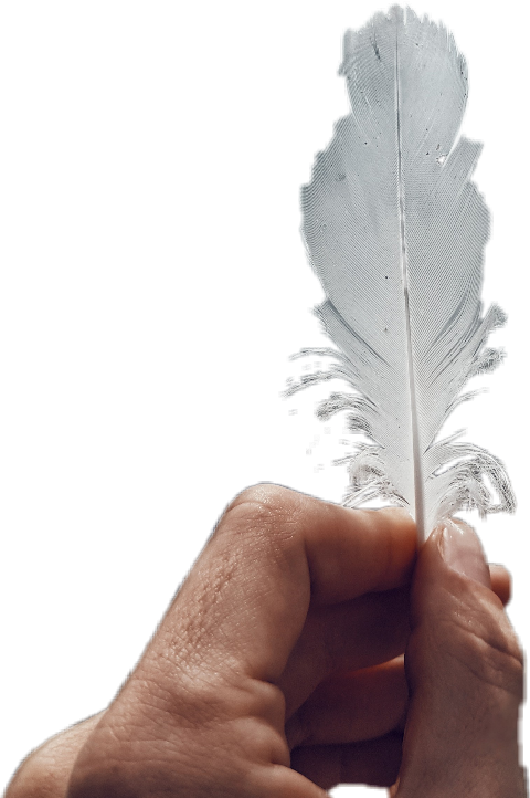 Paper Clipart (480x722), Png Download