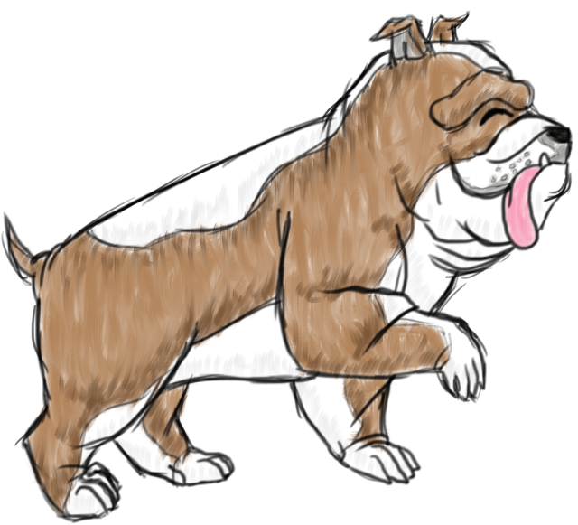 Duke The English Bulldog - Illustration Clipart (787x787), Png Download