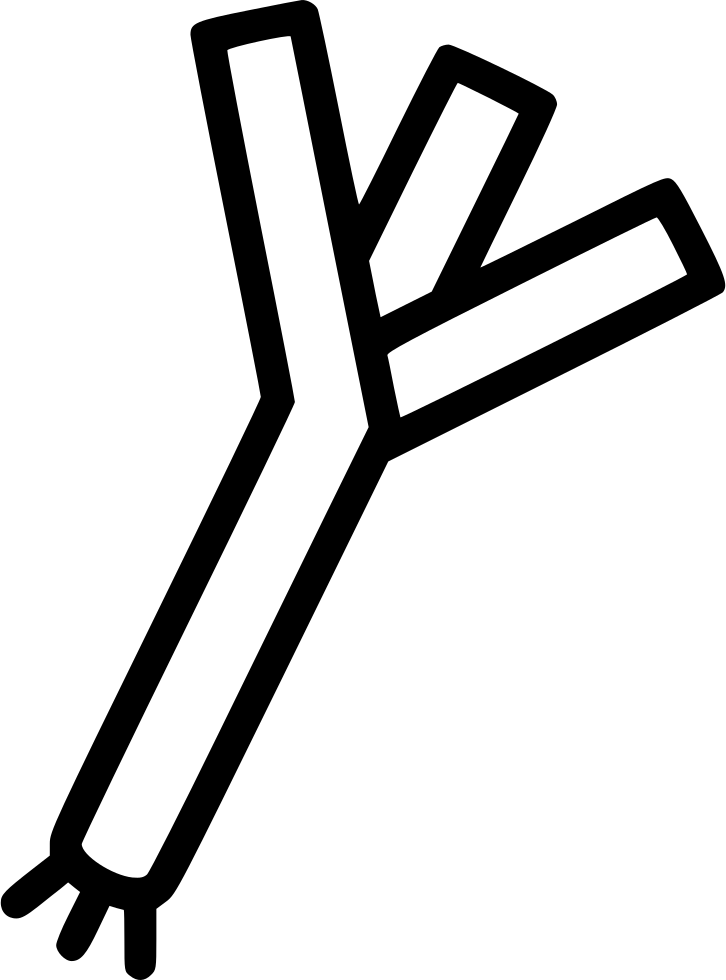 Png File Svg Clipart (726x980), Png Download