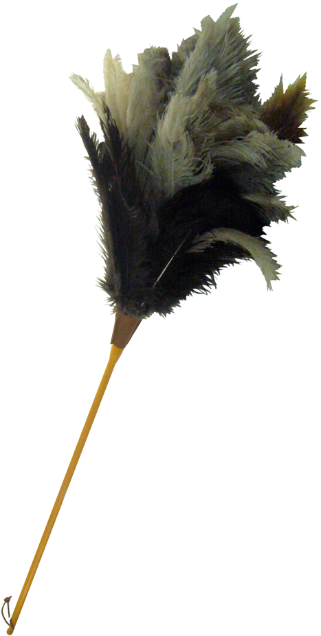 Thumb Image - Plumeau Png Clipart (922x1024), Png Download