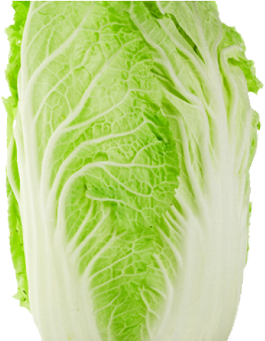 Chinese Cabbage Clipart (640x480), Png Download