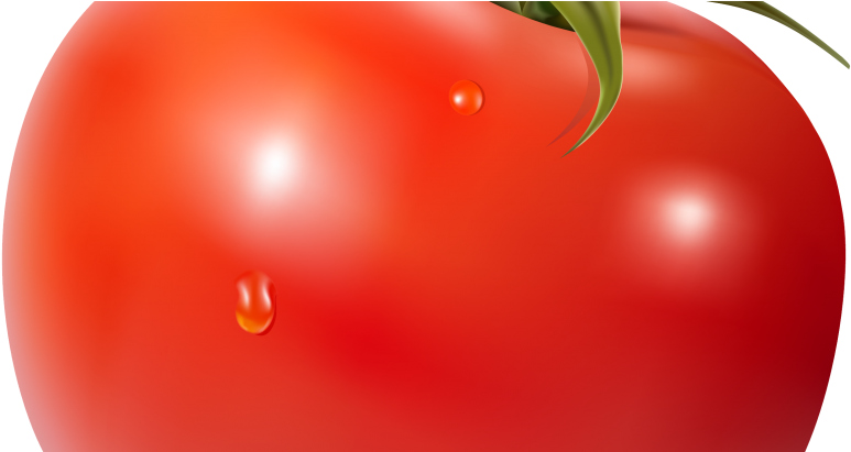 Posts Tagged 'guy Fawkes' - Macro Photography Clipart (875x410), Png Download