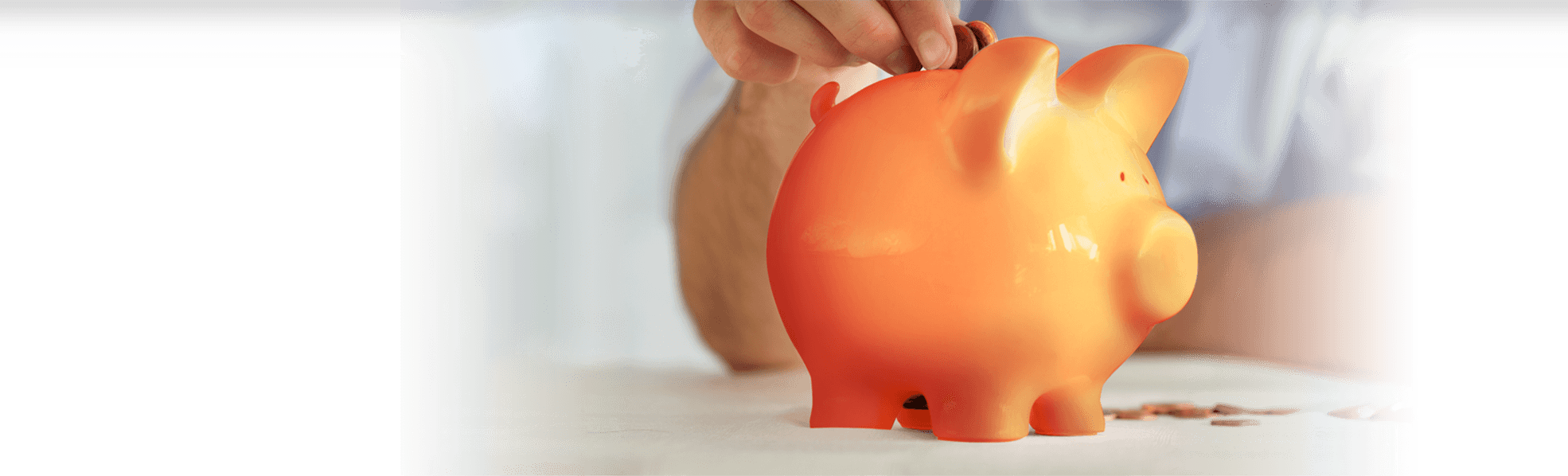 Money Secrets Achieve Your Success - Domestic Pig Clipart (1970x598), Png Download