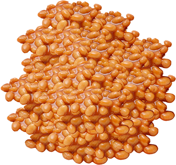Beans Baked Photosymbols - Pulse Clipart (600x600), Png Download