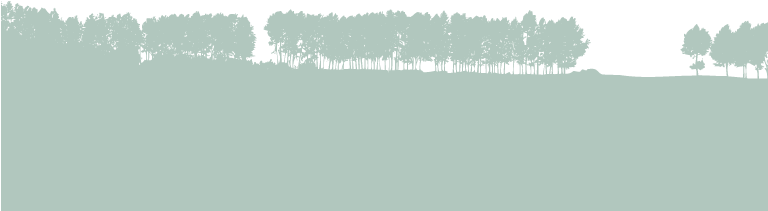 Trees - Png - Larch Clipart (767x410), Png Download