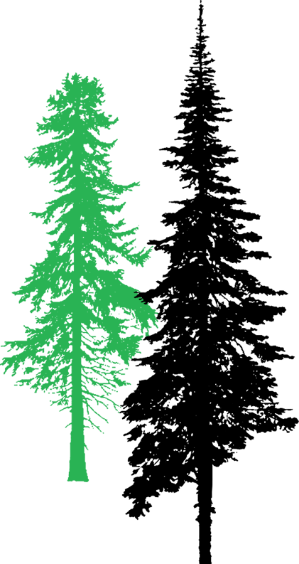 Mccullough Bros Is A Family Run Business Owned By Brothers - Tall Pine Tree Silhouette Clipart (421x793), Png Download
