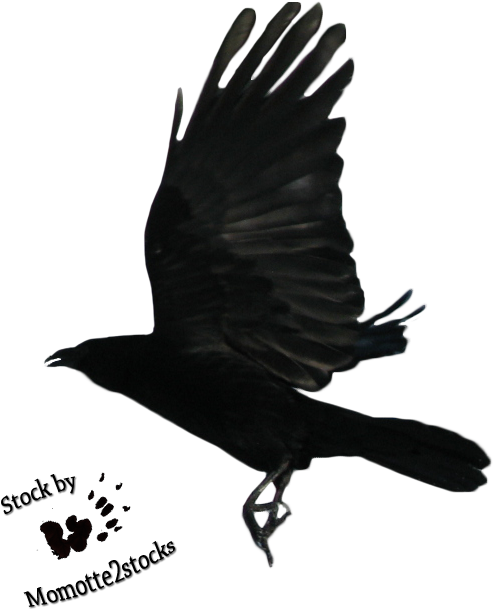 Geometric Raven Flying - Flying Crow Png Clipart (595x627), Png Download