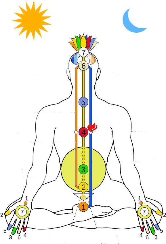 Everything You Need To Know About The Chakra Energy - Upanishad Yoga Clipart (724x1024), Png Download