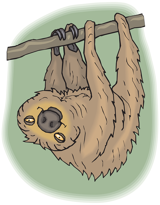 Sloth Clip Art Png Cartoon Transparent Png (561x720), Png Download