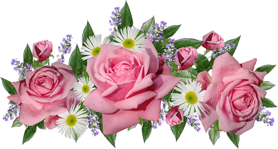 Flowers, Roses, Daisies, Lavender, Arrangement, Garden - Garden Roses Clipart (960x517), Png Download